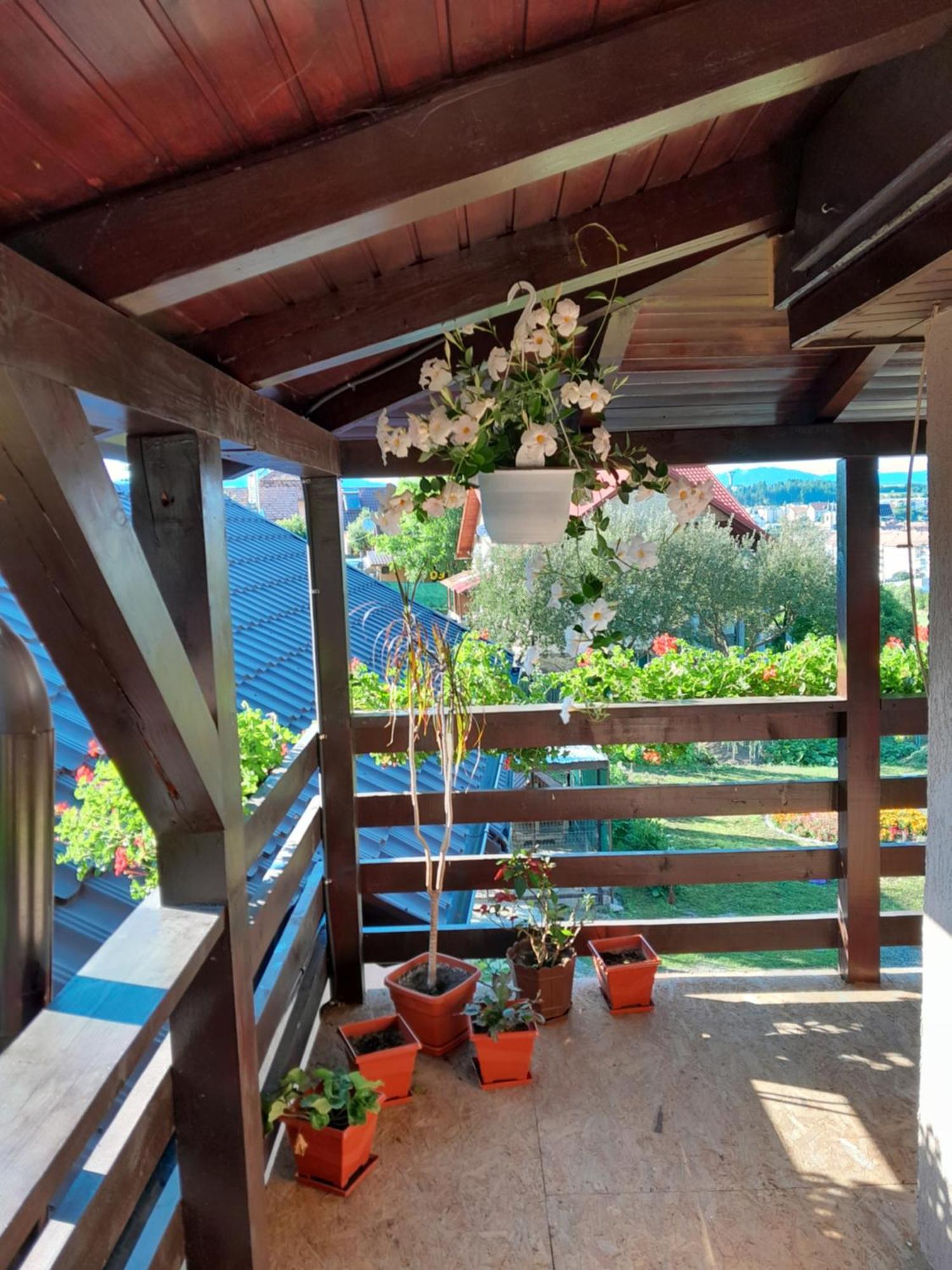 Casa Alex Hotel Toplita  Ngoại thất bức ảnh