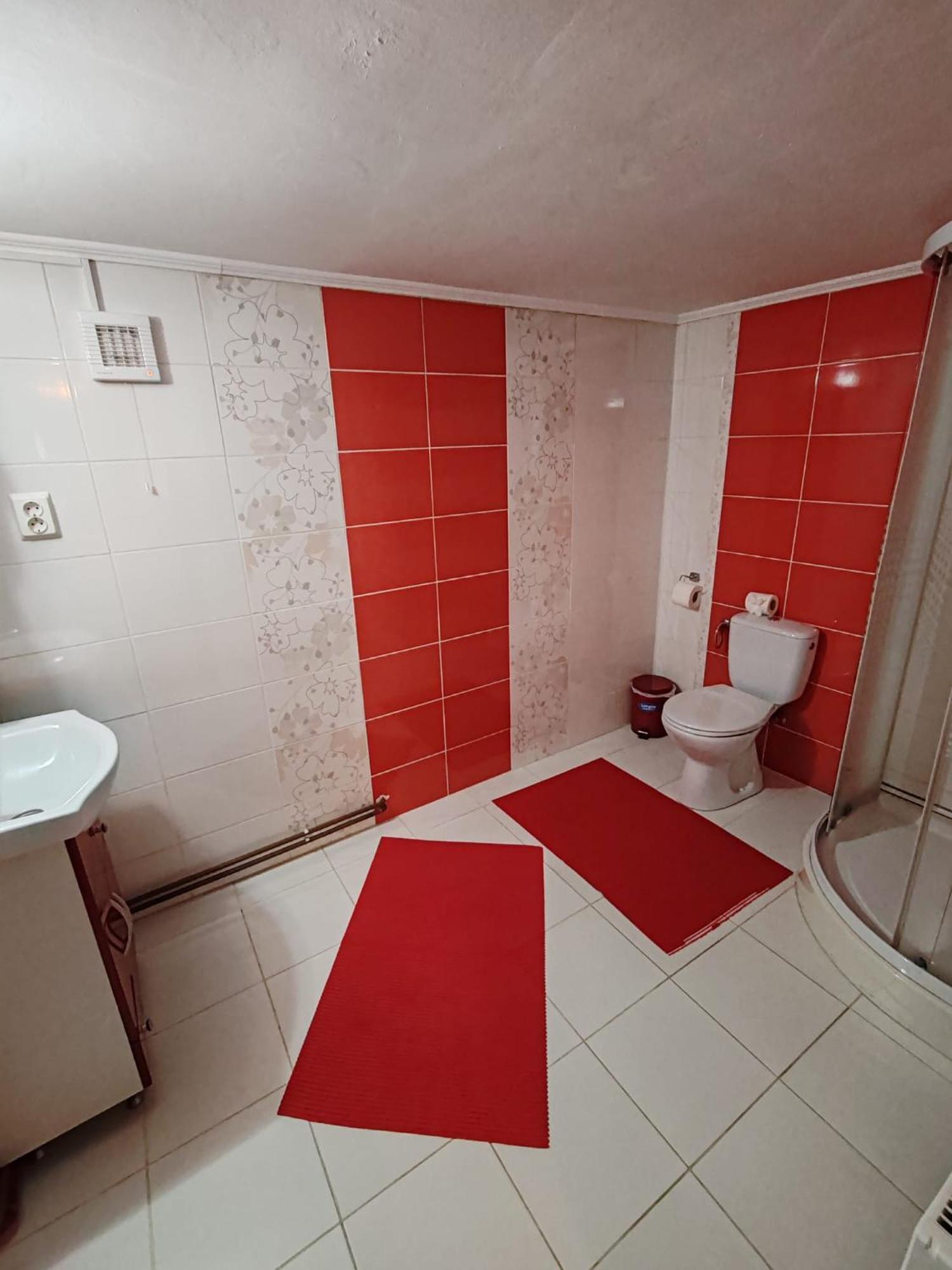 Casa Alex Hotel Toplita  Ngoại thất bức ảnh